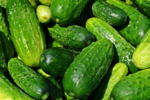 cucumbers, vegetables, green, healthy, fresh, food, green food, green vegetables, produce, harvest, organic, fresh produce, farmer's market, vegetable stand, vegetables, vegetables, vegetables, vegetables, vegetables, green, food, food